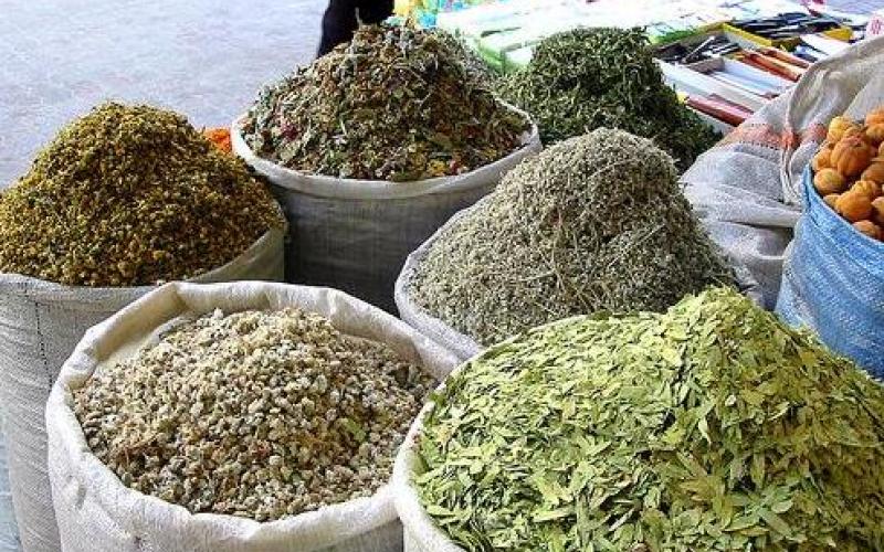 وقف برامج الأعشاب بين مؤيد ومعارض