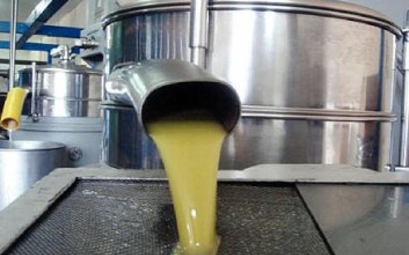 الغذاء والدواء: "كاشف" زيت الزيتون المغشوش غير فعال