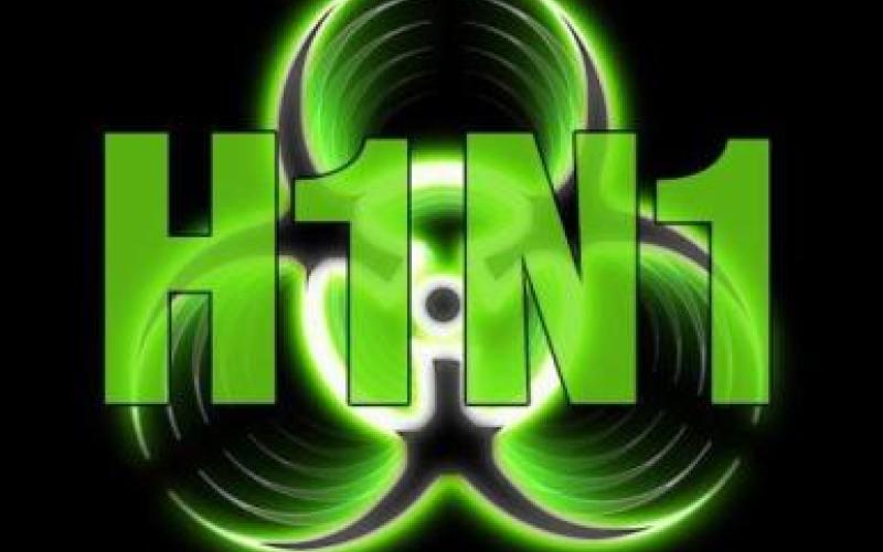 تطوير خطة حكومية لمواجهة انفلونزا الخنازير