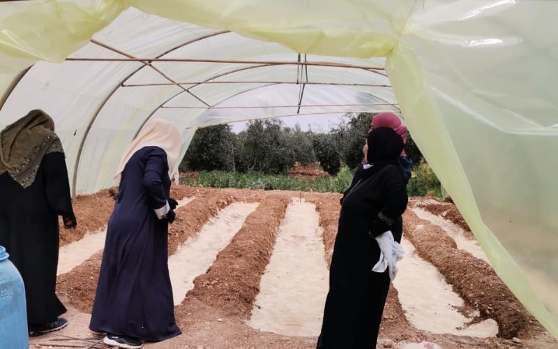 نساء سوريات يعملن في مشروعهن في قرية حرتا باربد (هبة الله ملكاوي)